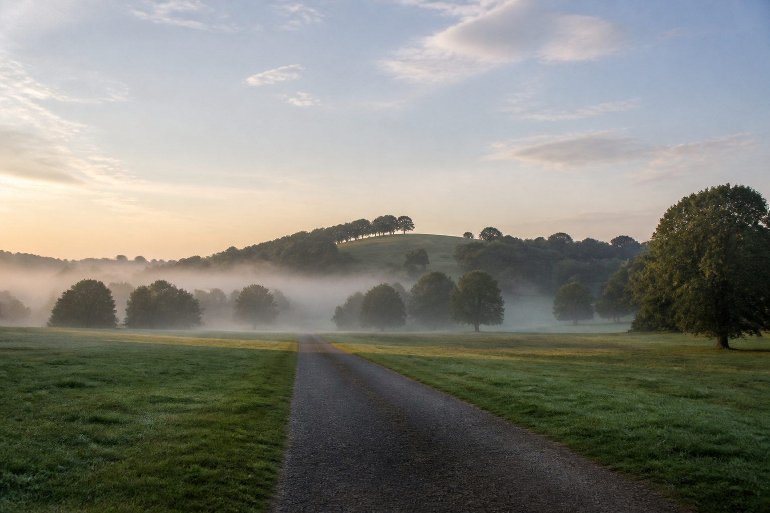 Richmond Park nature setting evoking the calm of The Reset taster